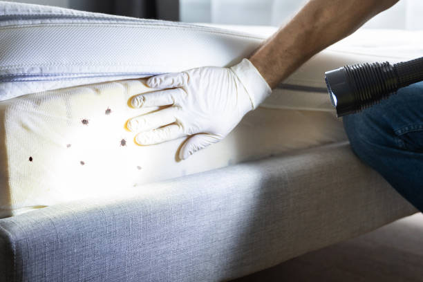 Best Wildlife Control Services  in Berwick, PA